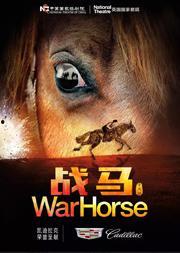 在线观看战马,跨越时空的骏骑传奇  第1张